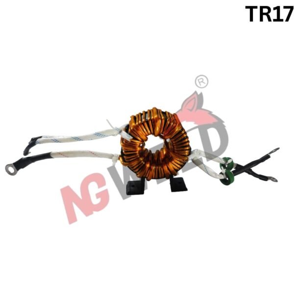 ARC 300 Coil Transformer